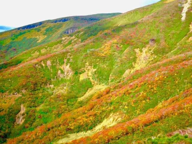 Yamanosho Hotell Yuzawa  Exteriör bild